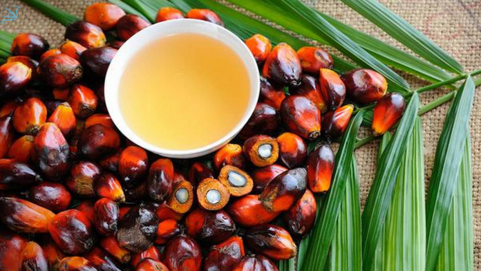 National Mission on Edible Oils- Oil Palm (NMEO-OP)