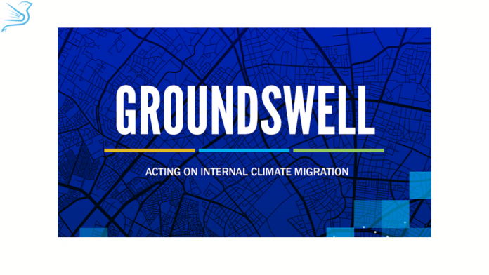 groundswell report