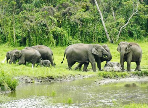 First-Rajiv-Gandhi-Wildlife-Conservation-Award