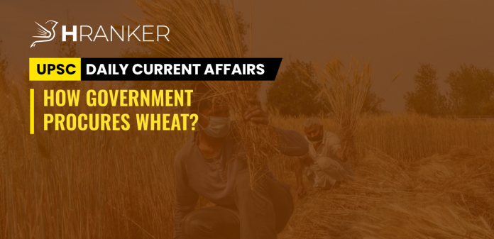 HOW GOVERNMENT PROCURES WHEAT